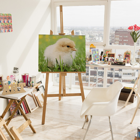 Początek nowego życia