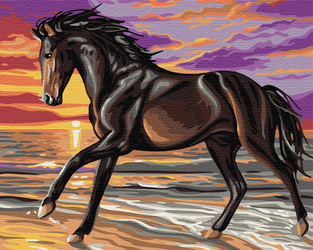 Koń Bucefal w biegu