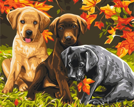 Trzy Szczeniaki Malowanie Po Numerach