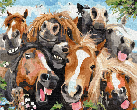 Konie Przyjaciele Na Wieczność