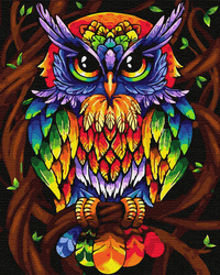 Tęczowa sowa