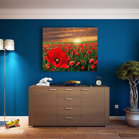 Zachód słońca nad polem maków