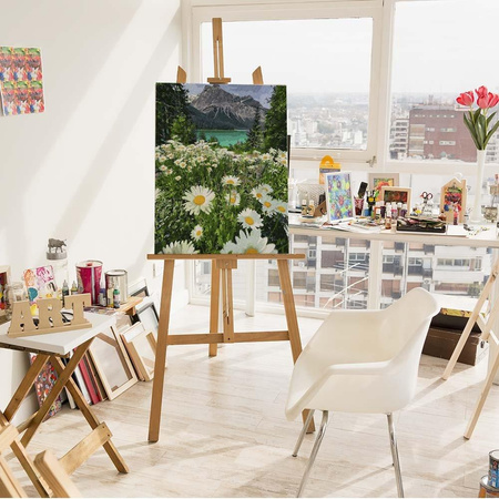 Górski rumiankowy krajobraz