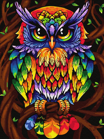 Haft Diamentowy Bez Ramy Tęczowa sowa 30x40 Mozaika Diamentowa 5D