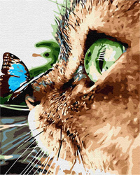 Kot i motyl