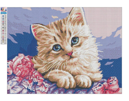 Haft Diamentowy Bez Ramy Niebieskooki Kotek 30x40 Mozaika Diamentowa 5D