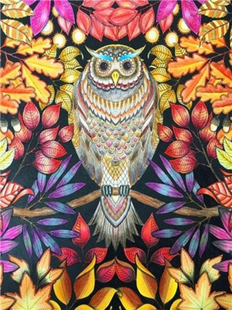 Sowa Na Gałęzi 30x40cm