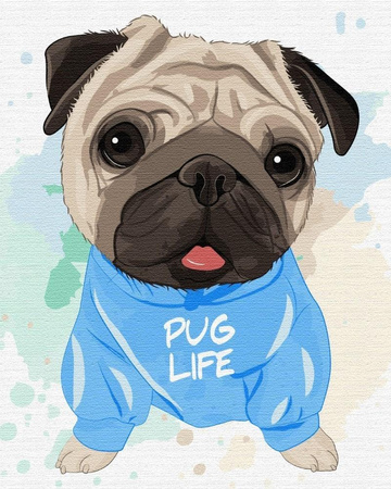 Jaskrawy Mops Malowanie Po Numerach