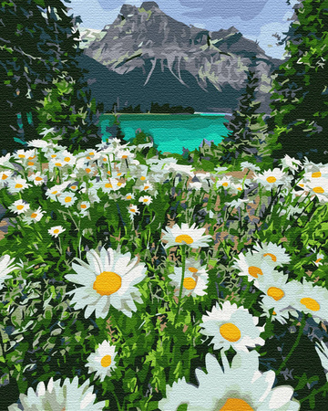 Górski rumiankowy krajobraz