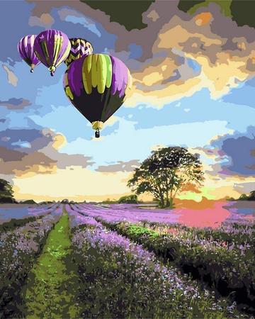 Lot balonem nad lawendą