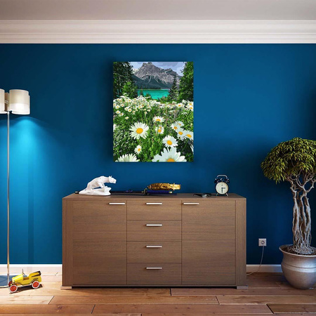 Górski rumiankowy krajobraz 50x65 cm