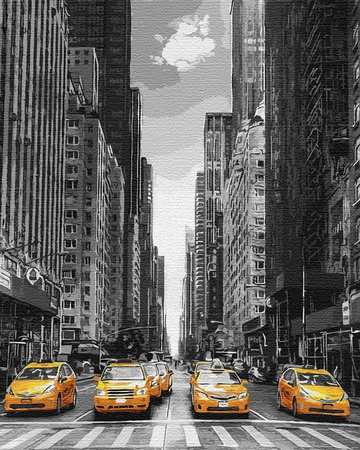 New York Taxi