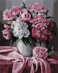 Różowe i białe piwonie