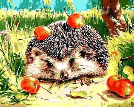 Jeż z jabłkiem