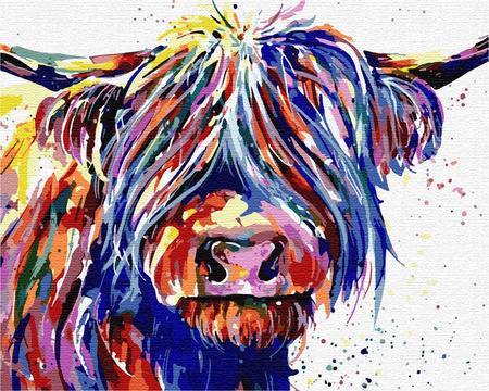 Kolorowy Byk