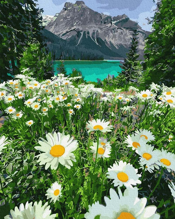 Górski rumiankowy krajobraz