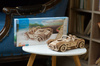 Cobra Drift Racing Car Puzzle 3d Drewniany Model Do Składania