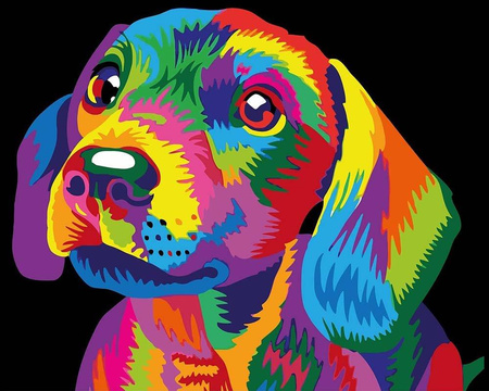 Piesek Kolorowy Proste