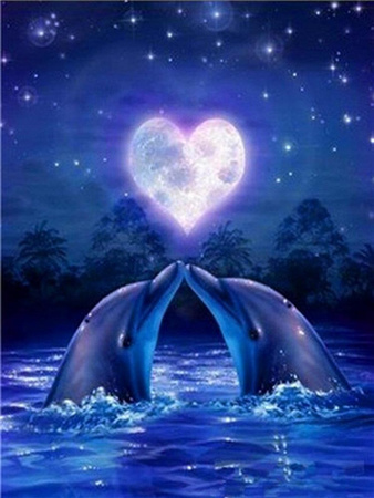 Para Delfinów 20x30cm