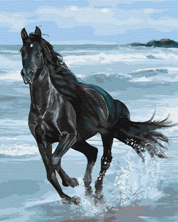 Czarny koń