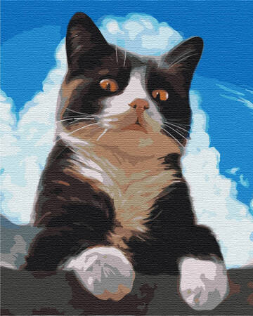Dociekliwy Kot Malowanie Po Numerach
