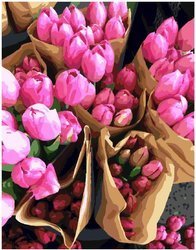 Holenderskie tulipany