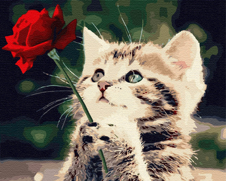 Kociak z różą