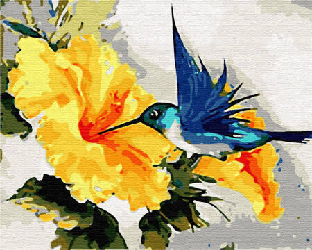 Kolibry i kwiaty Malowanie Po Numerach