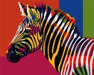 Kolorowa Zebra Proste