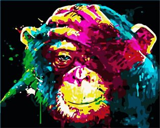 Kolorowa małpa