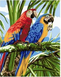 Kolorowe papugi Malowanie po numerach