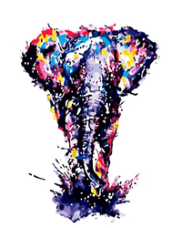 Kolorowy słoń Malowanie Po Numerach