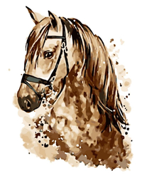 Koń Malowanie Po Numerach