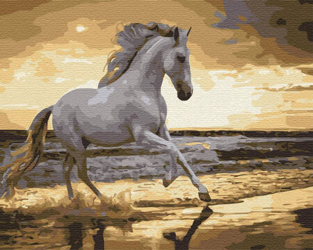 Koń Na Wybrzeżu Malowanie Po Numerach