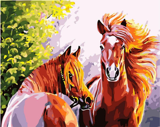 Konie Malowanie Po Numerach