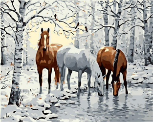 Konie w zimowym lesie Malowanie Po Numerach
