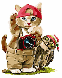 Kot Turysta Malowanie Po Numerach