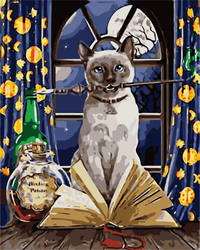 Kot i magia Malowanie Po Numerach