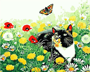 Kot i motyl Malowanie Po Numerach
