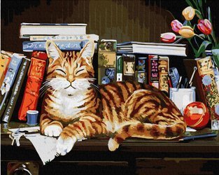 Kot na półce z książkami