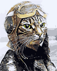 Kot pilota Malowanie Po Numerach