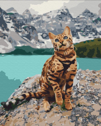 Kotek w górach