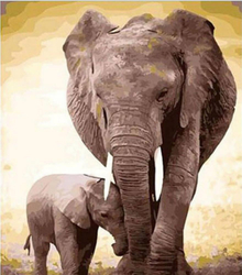 Matka słonia