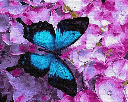Motyl W Kwiatach
