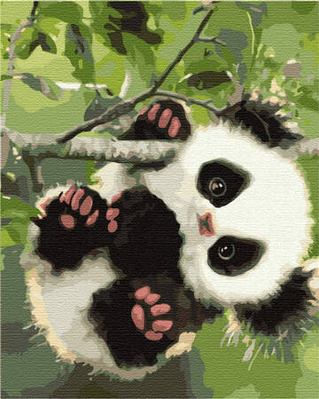 Panda Na Gałęzi