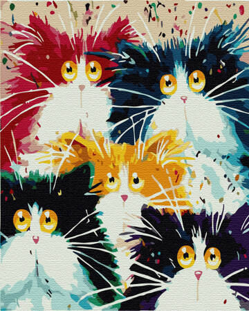 Pięć Kolorowych Kotów