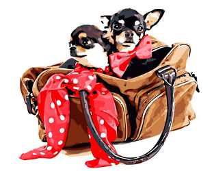 Psy w torbie
