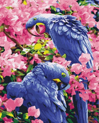Ptaki W Kwiatach Malowanie Po Numerach