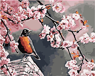 Sakura ptak
