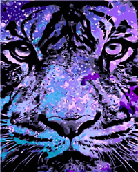 Surowy wygląd tygrysa Malowanie Po Numerach